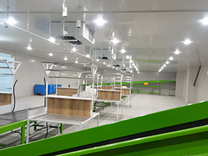 物流冷库建造内景