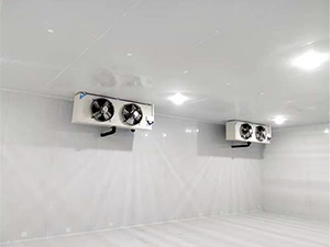 速冻冷库内景图片