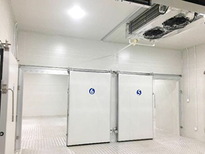 双温冷库建造完工图片