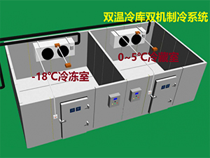 双温冷库制冷系统图片