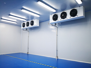 药品冷库建造工程图片