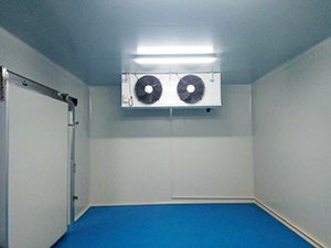 医药冷库工程内部图片