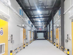 气调保鲜冷库穿堂图片