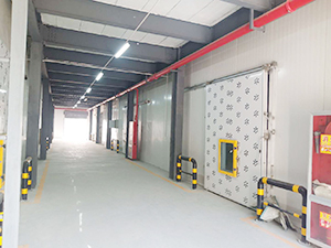 气调保鲜冷库穿堂图片