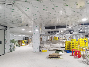 气调保鲜冷库完工案例图片