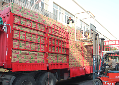 上海松江冷库出租运营代发货图片
