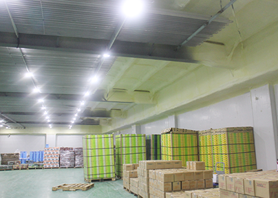 上海松江冷库运营招商出租内景展示图