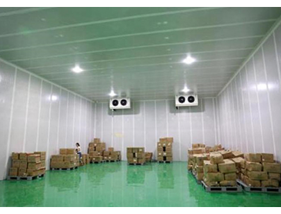 新疆乌鲁木齐3000平方米冰容高低温冷库出租案例