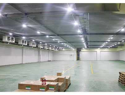 上海冰度仓储松江区12000平米高低温冷库出租案例