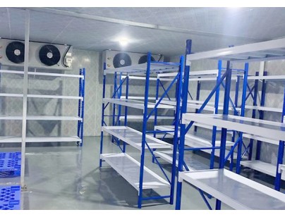 生生物流20000m3三方医药冷链物流冷库规划设计工程项目