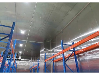 上海斯微4455m3生物医药冷库设计安装工程案例