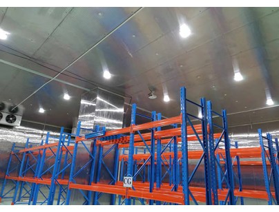 上海斯微4455m3生物医药冷库设计安装工程案例