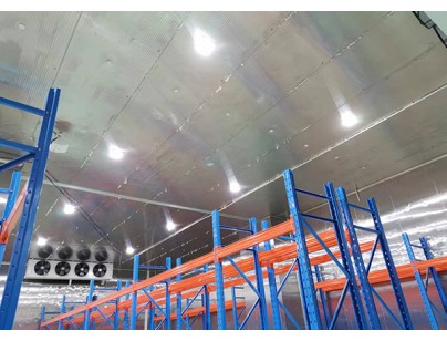 上海斯微4455m3生物医药冷库设计安装工程案例