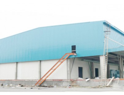 上海西郊国际农产品物流交易中心10800m3果蔬冷库工程建造方案