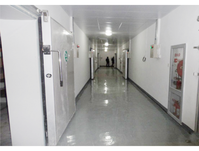 上海禾煜贸易45000m3大型食品冷库工程建造方案