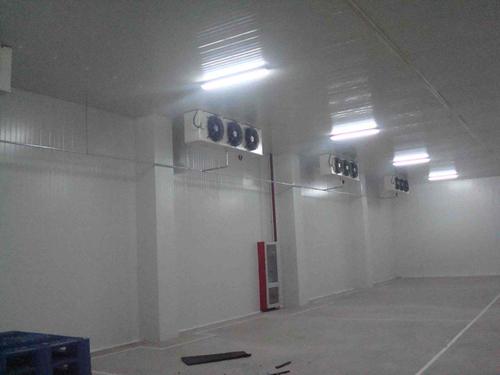 地下冷库建设多少钱一平方