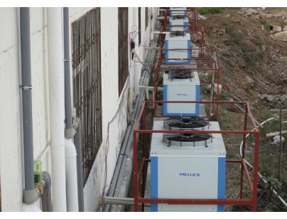 湖北黄冈市罗田食品2600立方板栗冷库建造工程案例