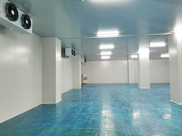 建个1000平方的冷库多少钱