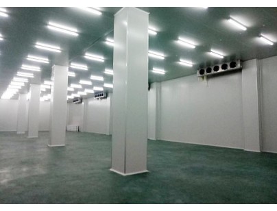 申联生物10000m3医药冷库（兽药冷藏库）工程案例