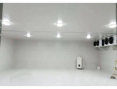 上?；蛏?000m3生物制品-18℃冷冻库新建工程案例