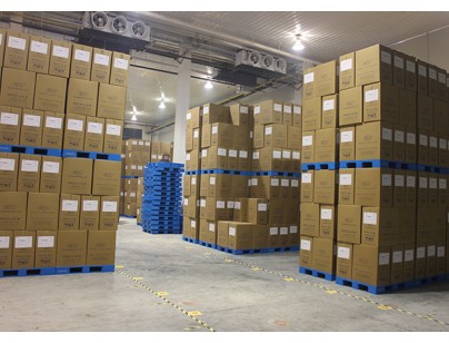 苏州点通24000m3物流阴凉库建造工程设计方案