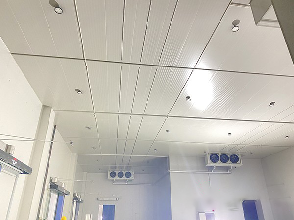 大型冷库定做多少钱一平方米