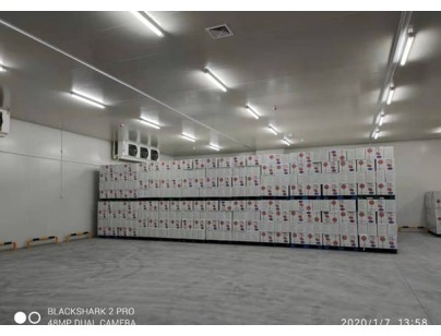 安徽洽洽股份49500m3食品原料加工冷库工程建造方案