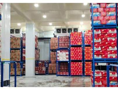 武汉鑫葡果品50000m3大型冷链物流冷库（低温冷冻库）建设方案