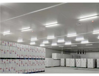 河北尚品（澳门）15000m3仓储物流低温冷藏冷冻库建造方案