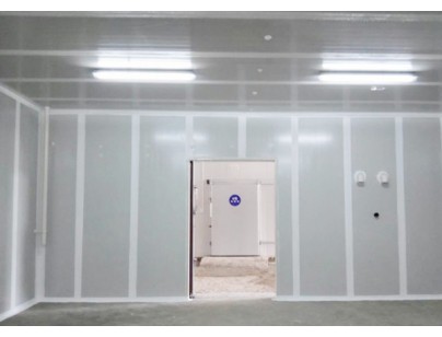 贵州水果种植合作社2000m3火龙果气调保鲜库工程建造方案