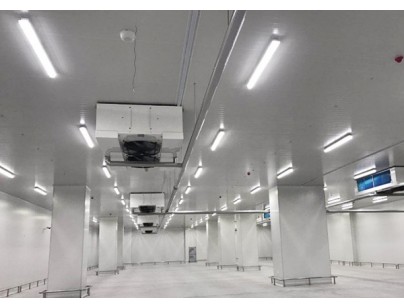 新疆新伟盟6000m3气调保鲜库工程建造方案