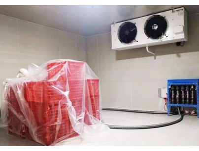 浙江“仙居杨梅”2000m3杨梅气调保鲜冷库工程建造方案