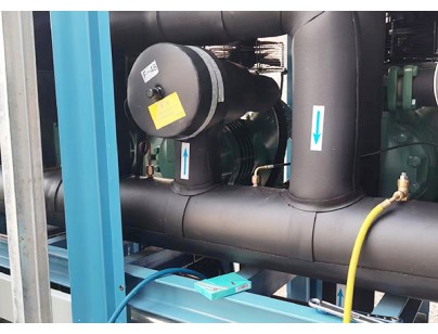 浙江“仙居杨梅”2000m3杨梅气调保鲜冷库工程建造方案