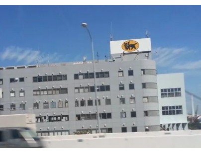 雅玛多1600m3大型物流冷冻库（低温冷藏库）工程建造方案