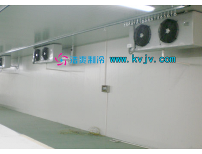 雅玛多1600m3大型物流冷冻库（低温冷藏库）工程建造方案