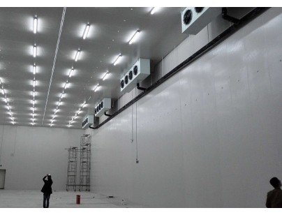 成都铁路口岸中国海关检验检疫30000立方大型肉类物流冷库工程案例