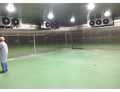 湖北宜昌远华食品1500m3肉类食品低温速冻冷库工程方案