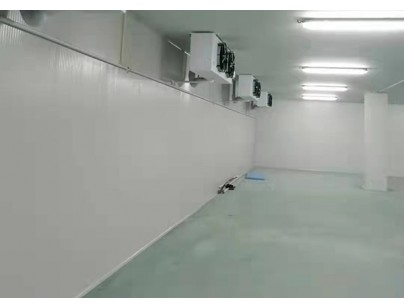 远大（杭州）48000m3生物医药冷库规划建造工程案例