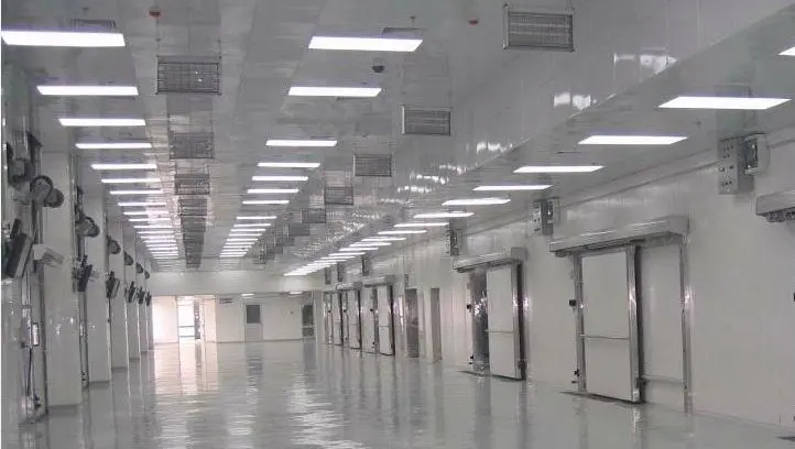 大型冷库费用标准多少钱一平方