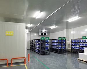 建造医疗器械冷库温湿度要求多少度合适？