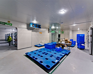 gsp体外诊断试剂冷库面积要求至少需要大的容积的？