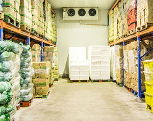 5000吨的果蔬保鲜库的占地面积以及冷库投入资金？