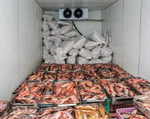 建设安装-60℃海鲜低温冷藏库费用造价是多少？