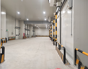 设计建造农产品保鲜物流冷藏库价钱是多少？