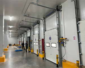 100吨保鲜冷库造价多少