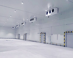 预制菜零下5度能放多久时间