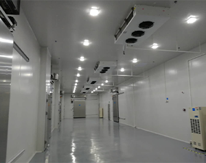 GSP认证医院药房冷藏库（药品冷库）建造多少钱一平米