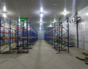 3000㎡医药物流冷库(药品冷链恒温库)安装价格多少钱一平米