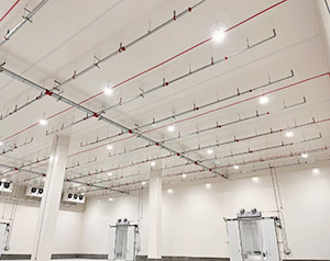 冷库内部图片展示