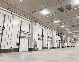 建设一万平米大型冷链仓储冷库的投资成本分析